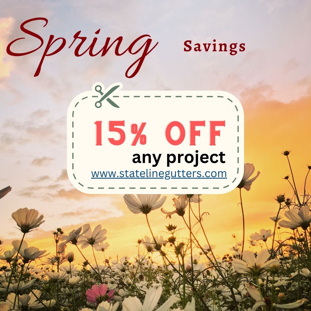 Spring Coupon 15% off
